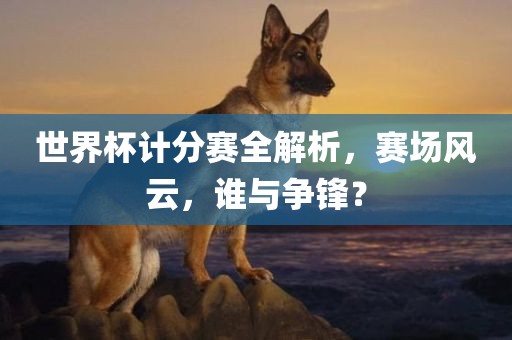 世界杯计分赛全解析，赛场风云，谁与争锋？