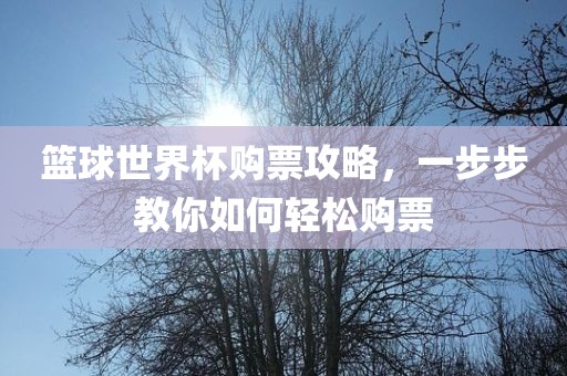 篮球世界杯购票攻略，一步步教你如何轻松购票