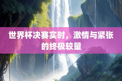 世界杯决赛实时，激情与紧张的终极较量