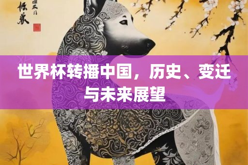 世界杯转播中国，历史、变迁与未来展望