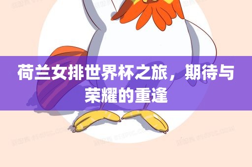 荷兰女排世界杯之旅，期待与荣耀的重逢