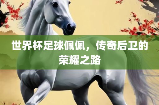 世界杯足球佩佩，传奇后卫的荣耀之路