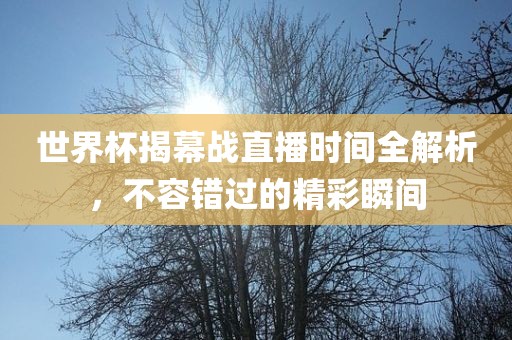 世界杯揭幕战直播时间全解析，不容错过的精彩瞬间