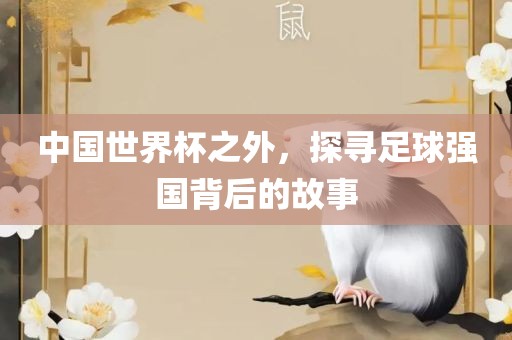 中国世界杯之外，探寻足球强国背后的故事
