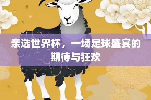 亲选世界杯，一场足球盛宴的期待与狂欢