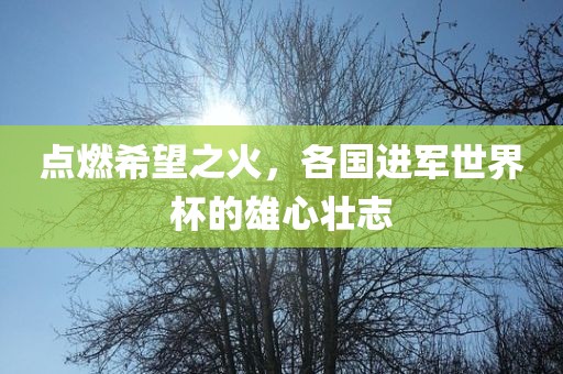 点燃希望之火，各国进军世界杯的雄心壮志