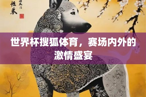 世界杯搜狐体育，赛场内外的激情盛宴