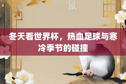 冬天看世界杯，热血足球与寒冷季节的碰撞