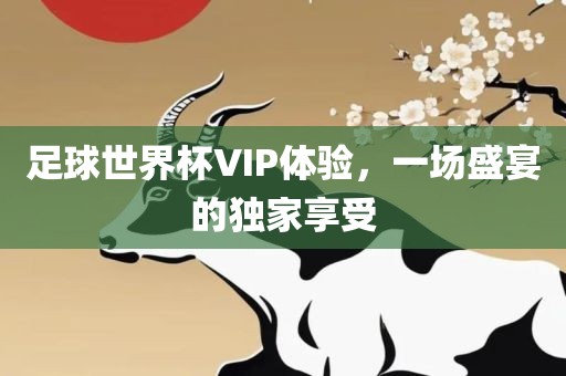 足球世界杯VIP体验，一场盛宴的独家享受
