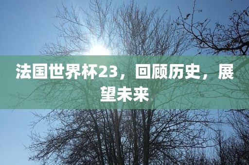 法国世界杯23，回顾历史，展望未来