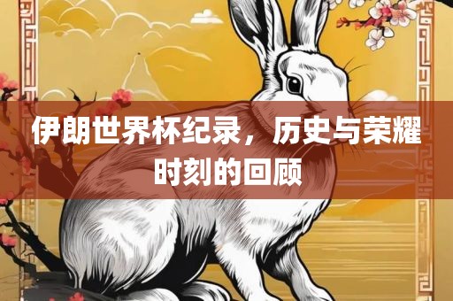 伊朗世界杯纪录，历史与荣耀时刻的回顾