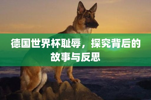德国世界杯耻辱，探究背后的故事与反思