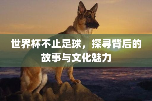 世界杯不止足球，探寻背后的故事与文化魅力