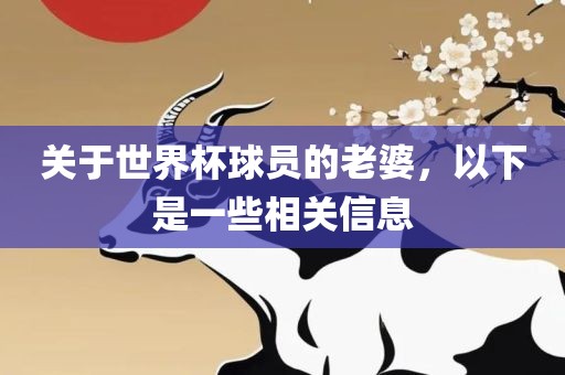 关于世界杯球员的老婆，以下是一些相关信息