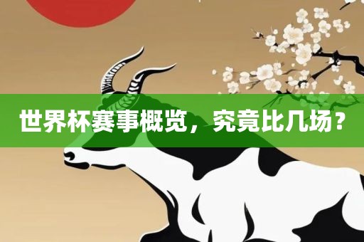世界杯赛事概览，究竟比几场？