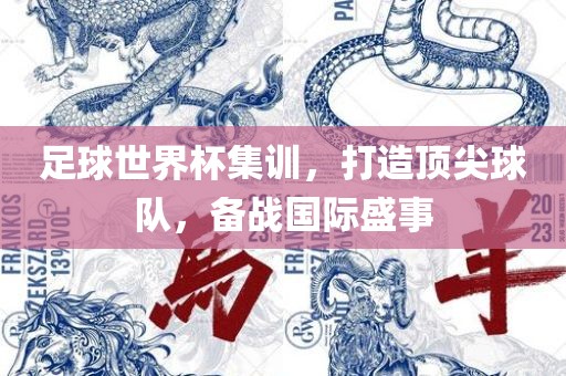 足球世界杯集训，打造顶尖球队，备战国际盛事