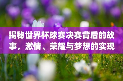 揭秘世界杯球赛决赛背后的故事，激情、荣耀与梦想的实现