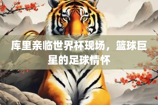 库里亲临世界杯现场，篮球巨星的足球情怀