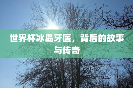 世界杯冰岛牙医，背后的故事与传奇