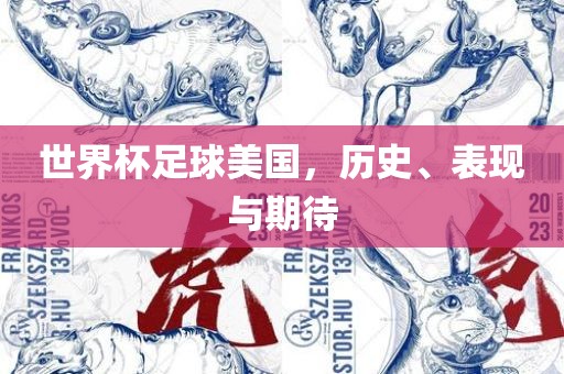 世界杯足球美国，历史、表现与期待