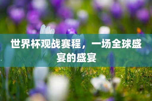 世界杯观战赛程，一场全球盛宴的盛宴