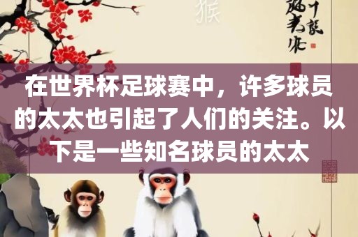 在世界杯足球赛中，许多球员的太太也引起了人们的关注。以下是一些知名球员的太太