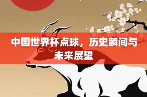 中国世界杯点球，历史瞬间与未来展望