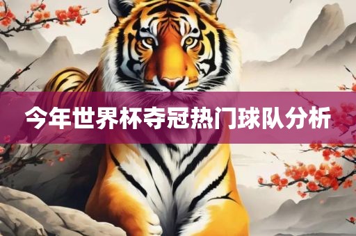 今年世界杯夺冠热门球队分析