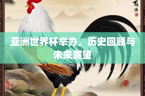 亚洲世界杯举办，历史回顾与未来展望