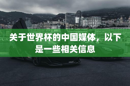 关于世界杯的中国媒体，以下是一些相关信息