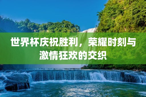 世界杯庆祝胜利，荣耀时刻与激情狂欢的交织