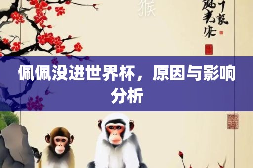 佩佩没进世界杯，原因与影响分析