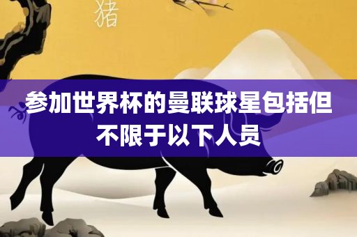 参加世界杯的曼联球星包括但不限于以下人员