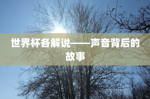世界杯各解说——声音背后的故事