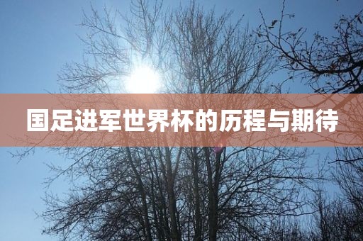 国足进军世界杯的历程与期待