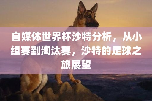 自媒体世界杯沙特分析，从小组赛到淘汰赛，沙特的足球之旅展望