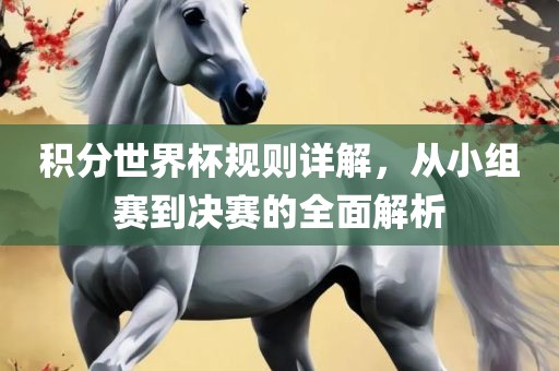 积分世界杯规则详解，从小组赛到决赛的全面解析