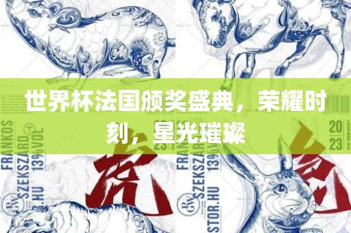 世界杯法国颁奖盛典，荣耀时刻，星光璀璨
