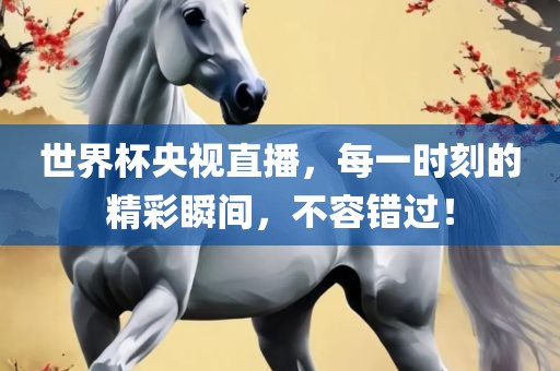 世界杯央视直播，每一时刻的精彩瞬间，不容错过！