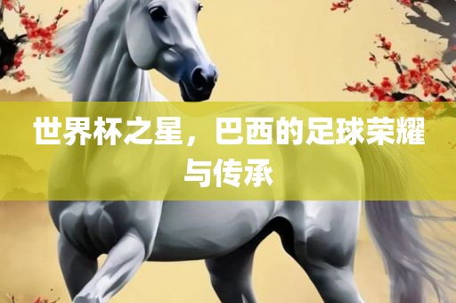 世界杯之星，巴西的足球荣耀与传承