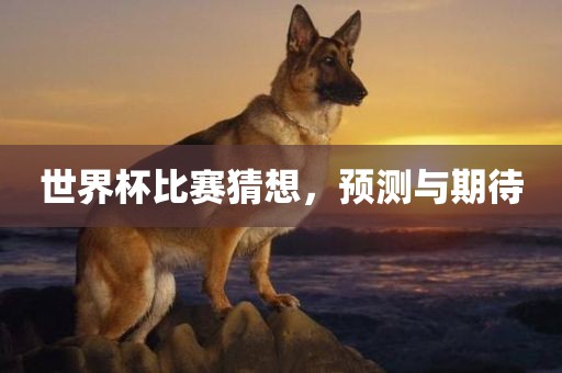 世界杯比赛猜想，预测与期待