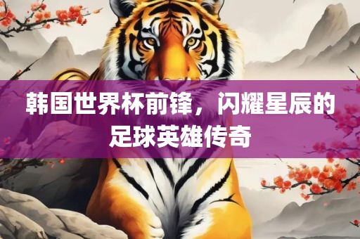 韩国世界杯前锋，闪耀星辰的足球英雄传奇