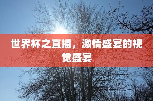 世界杯之直播，激情盛宴的视觉盛宴