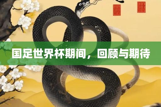 国足世界杯期间，回顾与期待
