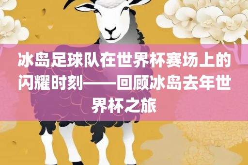 冰岛足球队在世界杯赛场上的闪耀时刻——回顾冰岛去年世界杯之旅