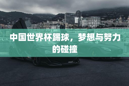 中国世界杯踢球，梦想与努力的碰撞