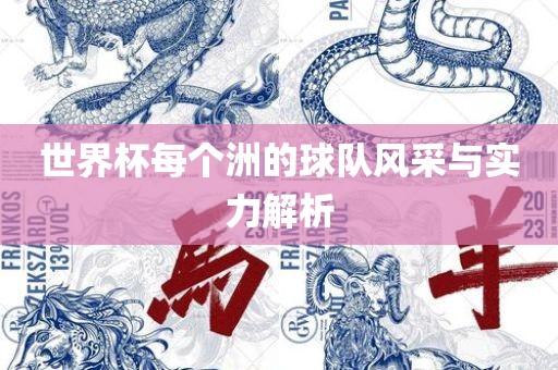 世界杯每个洲的球队风采与实力解析
