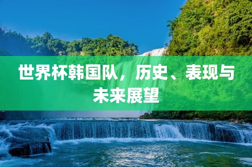 世界杯韩国队，历史、表现与未来展望