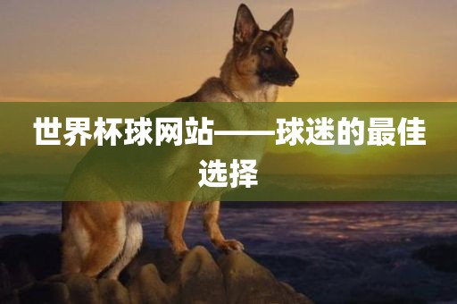 世界杯球网站——球迷的最佳选择