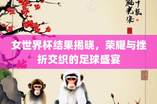 女世界杯结果揭晓，荣耀与挫折交织的足球盛宴
